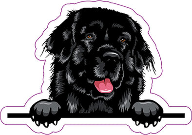 Newfoundland Vinyl Decal - Dog Breed Bumper Sticker