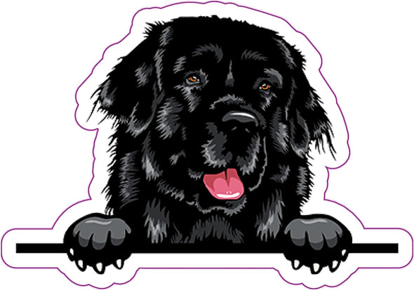 Newfoundland Vinyl Decal - Dog Breed Bumper Sticker
