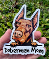Doberman Mom Vinyl Sticker - Dog Breed Decal - Die Cut for Laptops Windows Cars Trucks