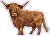 Scottish Highlander Cow Vinyl Decal - Western Bumper Sticker