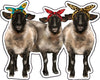 Bandanna Sheep Vinyl Decal - Western Ewe Bumper Sticker