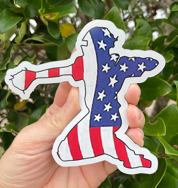 Baseball Catcher Magnet - American Flag