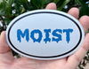 Oval Blue Moist Magnet - Funny Gag Magnetic Car Decal