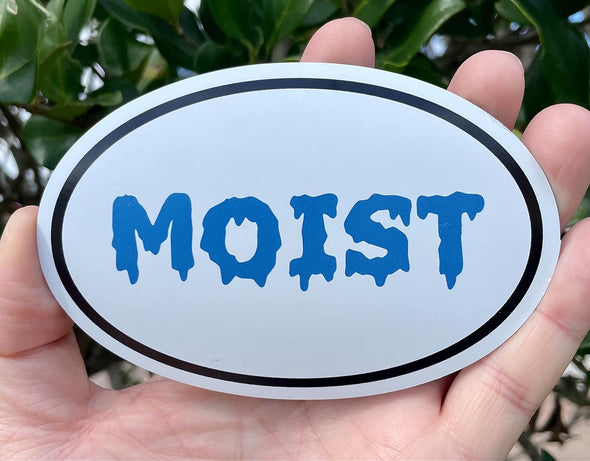 Oval Blue Moist Magnet - Funny Gag Magnetic Car Decal