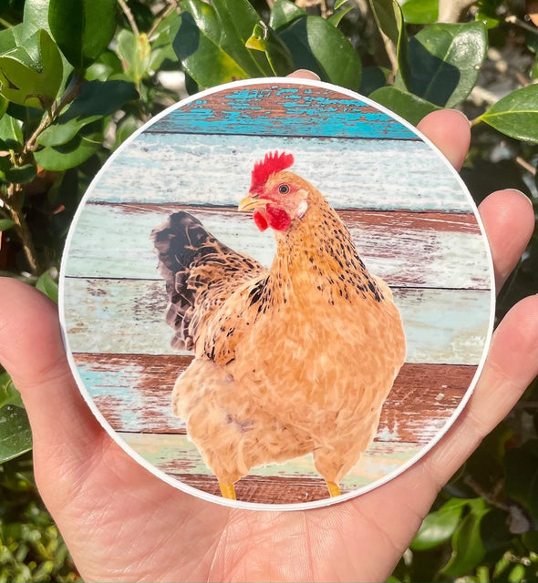 Funny Chicken Vinyl Decal - Farming Bumper Sticker