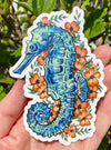 Seahorse Vinyl Decal - Ocean Beach Bumper Sticker
