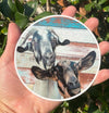 Funny Goat Vinyl Decal - Farming Bumper Sticker
