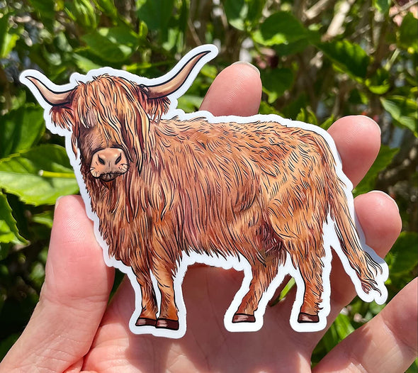 Scottish Highlander Cow Vinyl Sticker