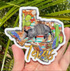 Texas Armadillo Vinyl Decal