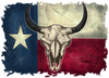 Texas Flag Steer Skull Vinyl Sticker - Texan Bull Decal - Die Cut for Laptops Windows Cars Trucks