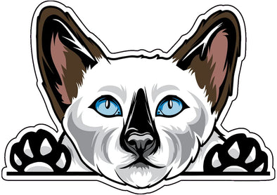 Siamese Cat Vinyl Decal - Kitty Bumper Sticker