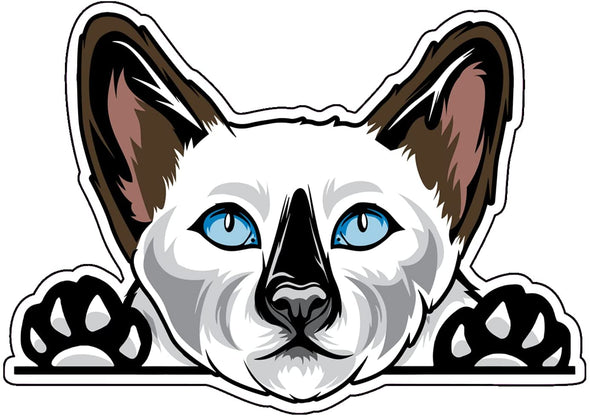 Siamese Cat Vinyl Decal - Kitty Bumper Sticker