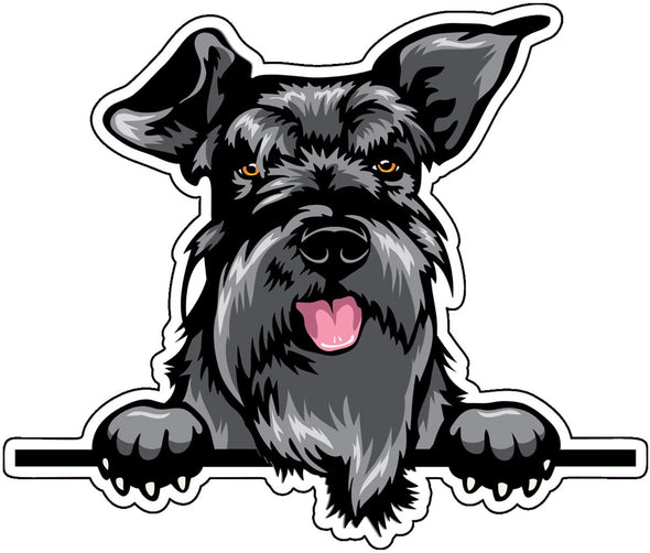 Smiling Schnauzer Vinyl Decal - Dog Breed Bumper Sticker