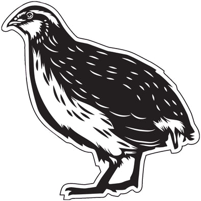 Quail Vinyl Decal - Hunting Bumper Sticker