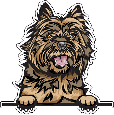 Smiling Cairn Terrier Vinyl Decal - Dog Breed Bumper Sticker
