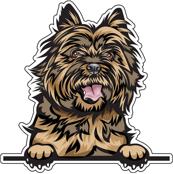 Smiling Cairn Terrier Vinyl Decal - Dog Breed Bumper Sticker