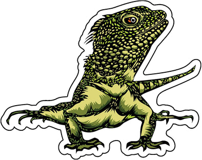 Bearded Dragon Decal - Lizard Bumper Sticker