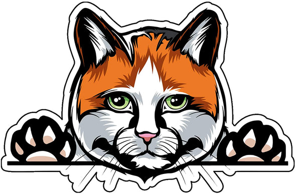 Calico Cat Kitty Decal - Cat Breed Bumper Sticker