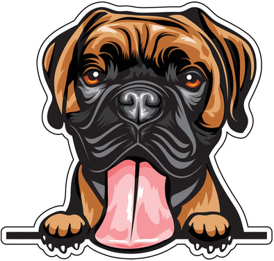 Smiling Boxer Vinyl Decal - Dog Breed Bumper Sticker