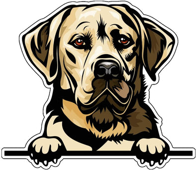 Yellow Lab Vinyl Sticker Labrador Retriever Decal