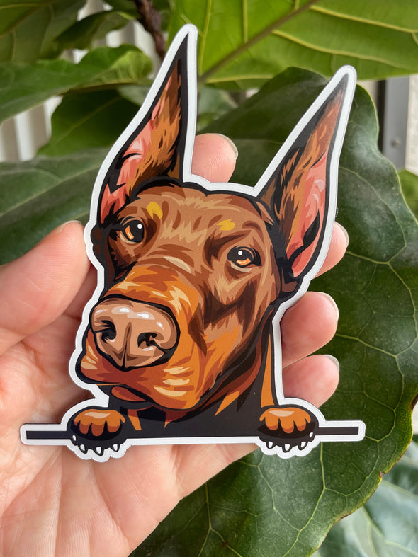 Smiling Doberman Pinchser Dog Magnet 5 inch