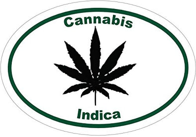 WickedGoodz Oval Vinyl Marijuana Decal - Pot Bumper Sticker - Perfect Ganja Lovers Gift-WickedGoodz