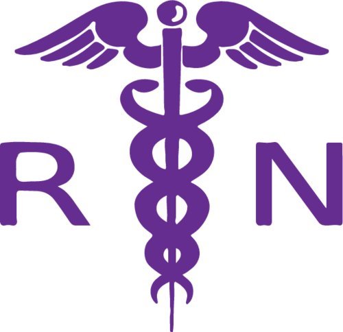 WickedGoodz Purple Caduceus RN Vinyl Window Decal Transfer - Nurse Bumper Sticker - Registered Nurse RN Pinning Graduate Gift-WickedGoodz