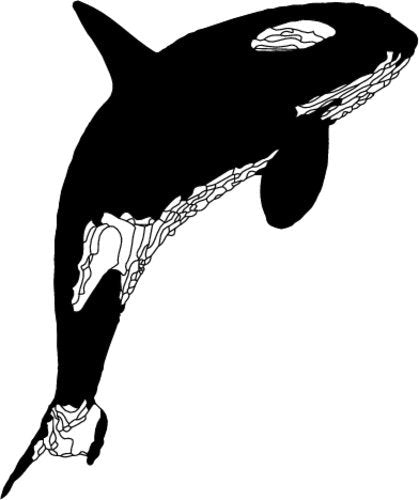 WickedGoodz Vinyl Orca Whale Decal - Beach Bumper Sticker - Perfect Ocean Gift-WickedGoodz