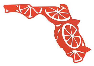 Custom Florida Oranges Vinyl Decal-WickedGoodz