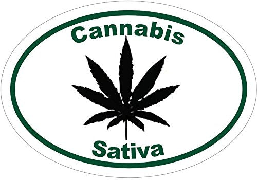 WickedGoodz Oval Vinyl Cannabis Sativa Marijuana Decal - Weed Bumper Sticker - Perfect Cannabis Gift-WickedGoodz