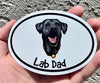 Oval Smiling Black Lab Dad Magnet - Dog Breed Magnetic Car Decal