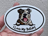 Oval I Love My Bulldog Magnet - Full Color Dog Magnetic Car Decal