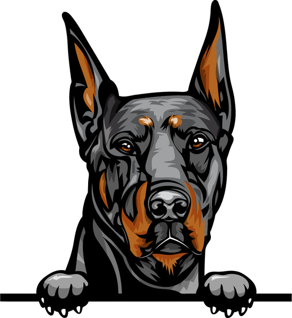 Doberman Vinyl Sticker Decal - Dog Breed Sticker