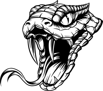 Rattlesnake Snake Head Vinyl Decal - Wildlife Bumper Sticker
