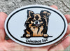 Oval Chihuahua Dad Magnet - Dog Breed Magnetic Car Decal