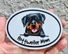 Oval Rottweiler Mom Magnet - Dog Breed Magnetic Car Decal